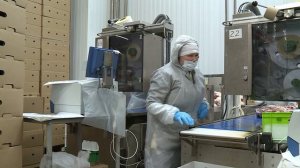 Маркировщик отделения обвалки мяса и изготовления полуфабрикатов