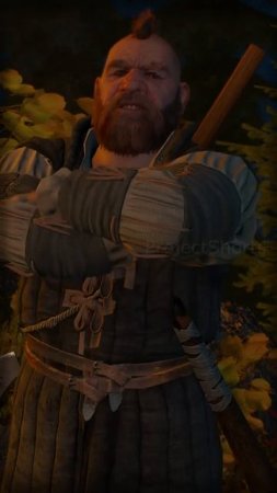 Годный совет от Золтана The Witcher 3  Ведьмак 3 shorts