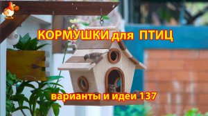 Кормушка для птиц своими руками как сделать пошагово  (137) 🪚🪛🔨 Идеи для дачи и сада❣️