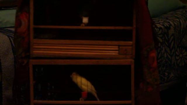 MVI_5724.MOV смотреть онлайн