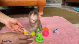 baby Monkey Tina is hungry and wants to drink milk, so poor