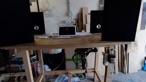 _Бабочка которая поет_ акустика DML с плоской катушкой + 3 магнита. часть 2.