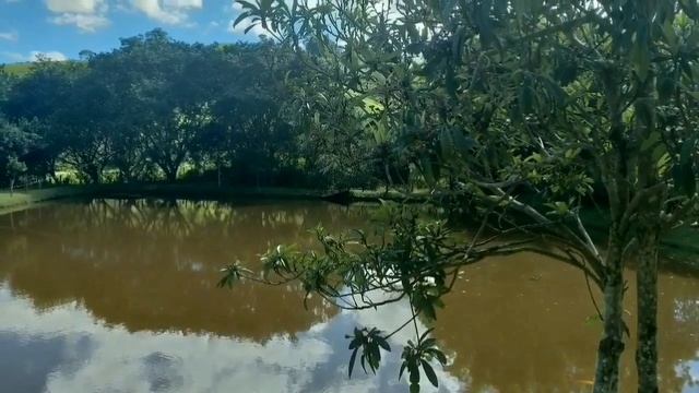Casamento Naturista Realizado Em Igaratá - SP No Encontro De Amigos Naturistas