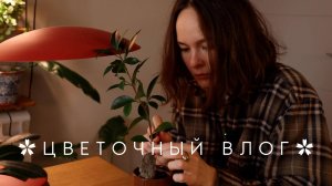 Цветочный влог | Пересадки, DIY Опоры, Новинки