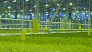 Майский 2016 год