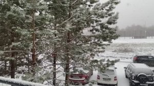 Первый снег. Красиво?!