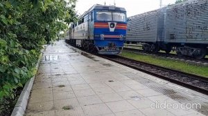 ТЭП70-0088 с поездом Апостолово - Днепр-Лоцманская и спасение черепахи.