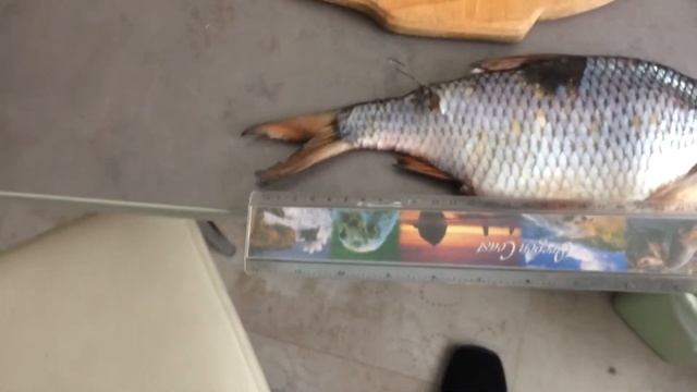 Тарань просто супер смотреть онлайн