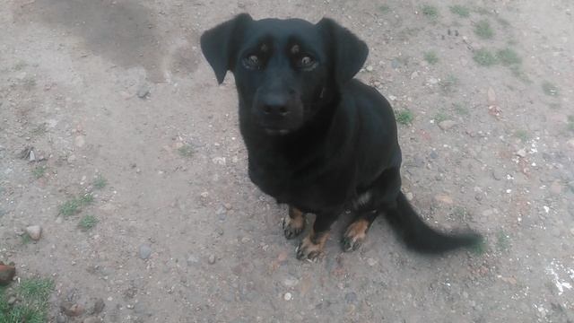 VID_20250323_180209