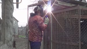 ВЫПУСТИЛ НА ПРОГУЛКУ