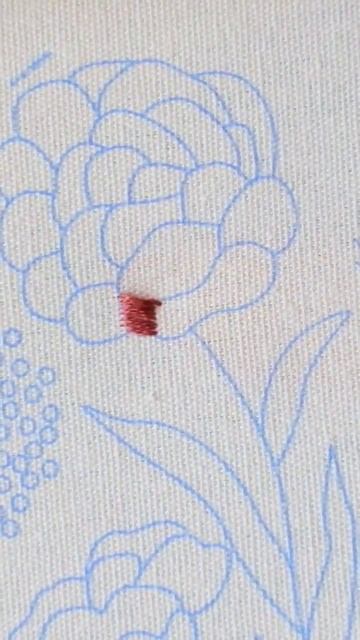 Вышивка для начинающих гладьевой шов Satin Stitch Wb 206676484 #embroidery #вышивка #embroiderykit смотреть онлайн
