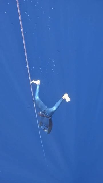 #фридайвинг #дыхание #дыхательныепрактики #ocean #freediving #дайвинг #море #нырок #глубина #киты
