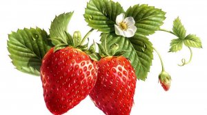 МЫ С ВНУЧКОЙ ОГОРОДНИКИ