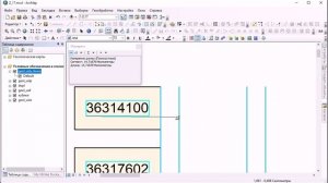 Z_17_10_1 Подписи в аннотации БГД ArcGIS