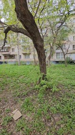 Вжух, и немного площади себе прибавили. Вжух, и без согласования.