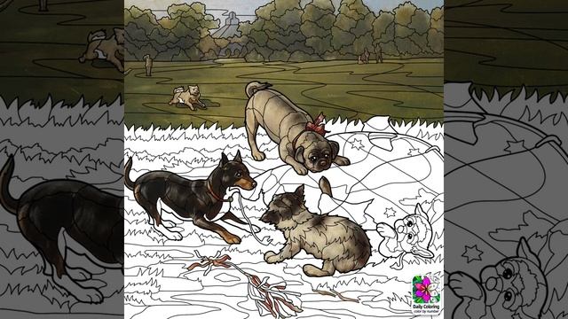 Daily Coloring The Little Dogs Could Always Find Something To Play With. смотреть онлайн