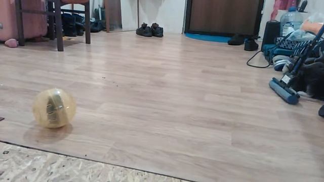 Котёнок и хомяк смотреть онлайн