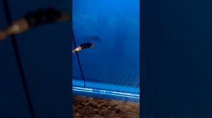 Мойка автомобиля , опрыскивателем.