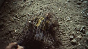 Wolfenstein 2: The New Colossus Official Collector's Edition Reveal Trailer - E3 2017