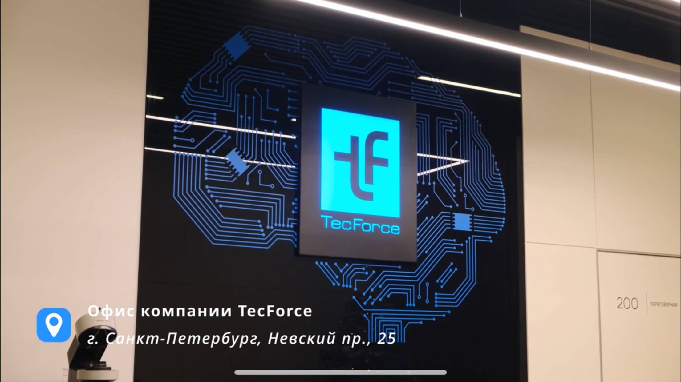 О жизни в компании TecForce