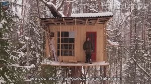 ДОМ НА ДЕРЕВЕ / Удивительная постройка дома на дереве своими руками