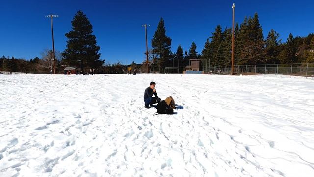 We Had a Snowball Fight at Big Bear смотреть онлайн