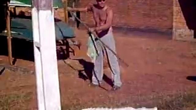 Catch an Alligator by Chicken смотреть онлайн