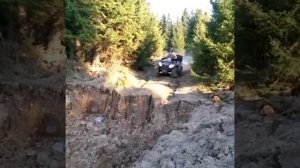 Газу Серый, газу!