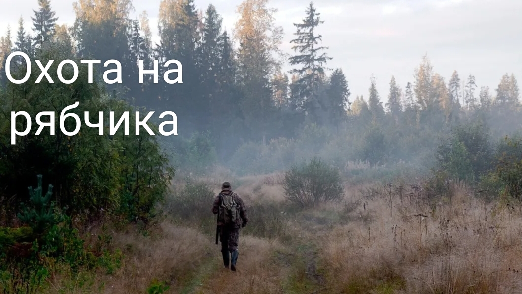 Охота на рябчика с манком смотреть онлайн