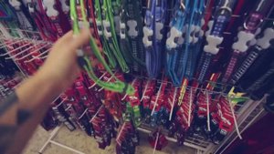 Зоомагазин для собаки: ошейники и адресники | Догмама 🐕🛍️