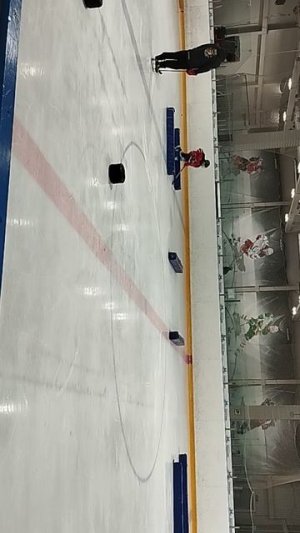 хоккей