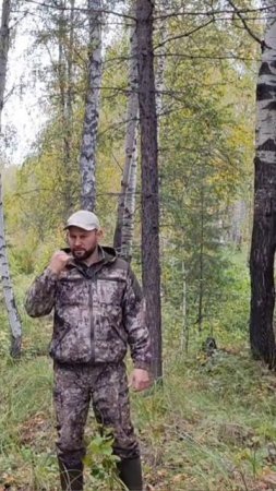 Опасная муха в лесу!!!