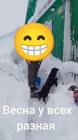 #весна