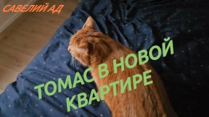 САМВЕЛ АДАМЯН, ТОМАС В НОВОЙ КВАРТИРЕ...