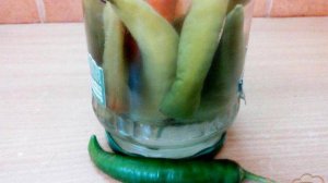 Маринованный перец чили