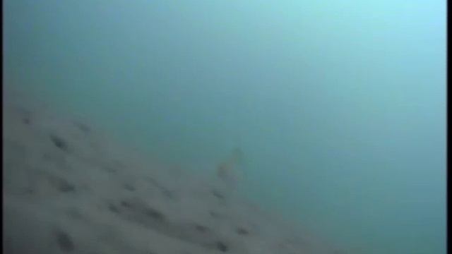 зимняя рыбалка