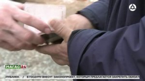 Дайджест новостей 25.03.2025г.