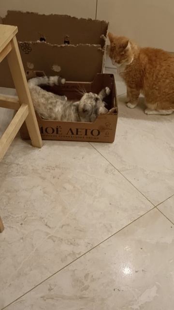Вдвоём нескучно.