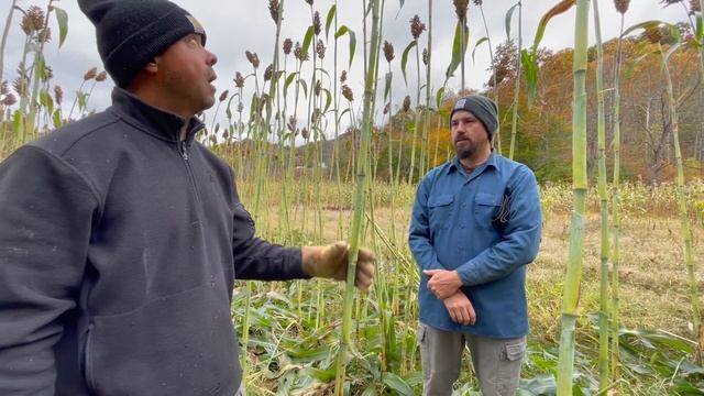 Make Yourself a Hand // Sweet Sorghum Harvest 2022