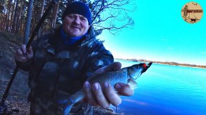 Первые поклёвки,Рыбалка на донки ранней весной.