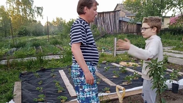 Ищем концы света)) Сын сажает дерево! смотреть онлайн