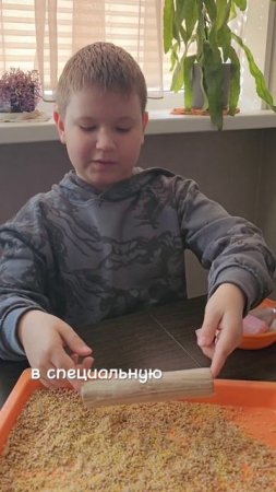 Делаем кормушку для птиц #shorts