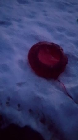 эпичное падение симпл, димпл бабл сквич.