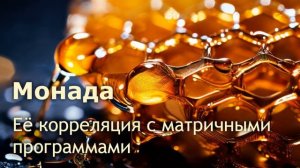 Монада, ее корреляция с матричными программами