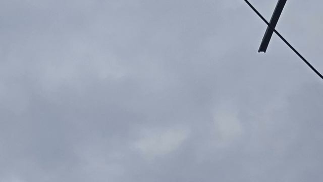 25.03.2025г.Оторвались.Полеткли.Молочного поймал.