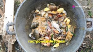 Авторские туры