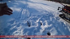 25.03.2025 Сахалинские блоги. Остров рыба. Рыбалка на севере Сахалина
