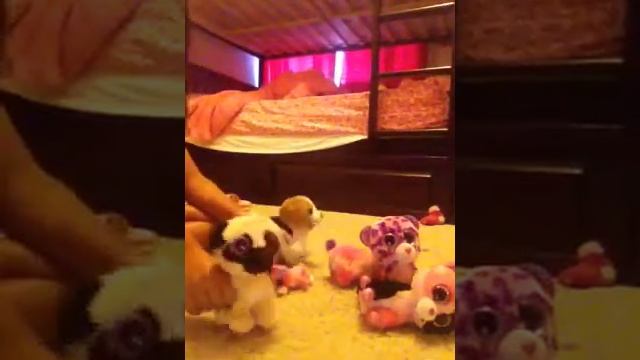 Beanie boo Brother, Sister Ball смотреть онлайн