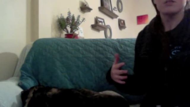 Raindrop for Dogs Young Living Essential Oils смотреть онлайн