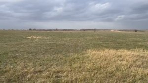 участок в Ставрополе